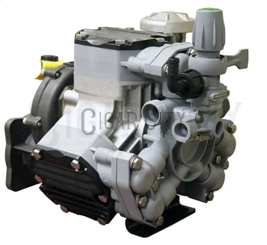 Comet P40GR Roof Pump (Only Pump)  Cigarcity Softwash.