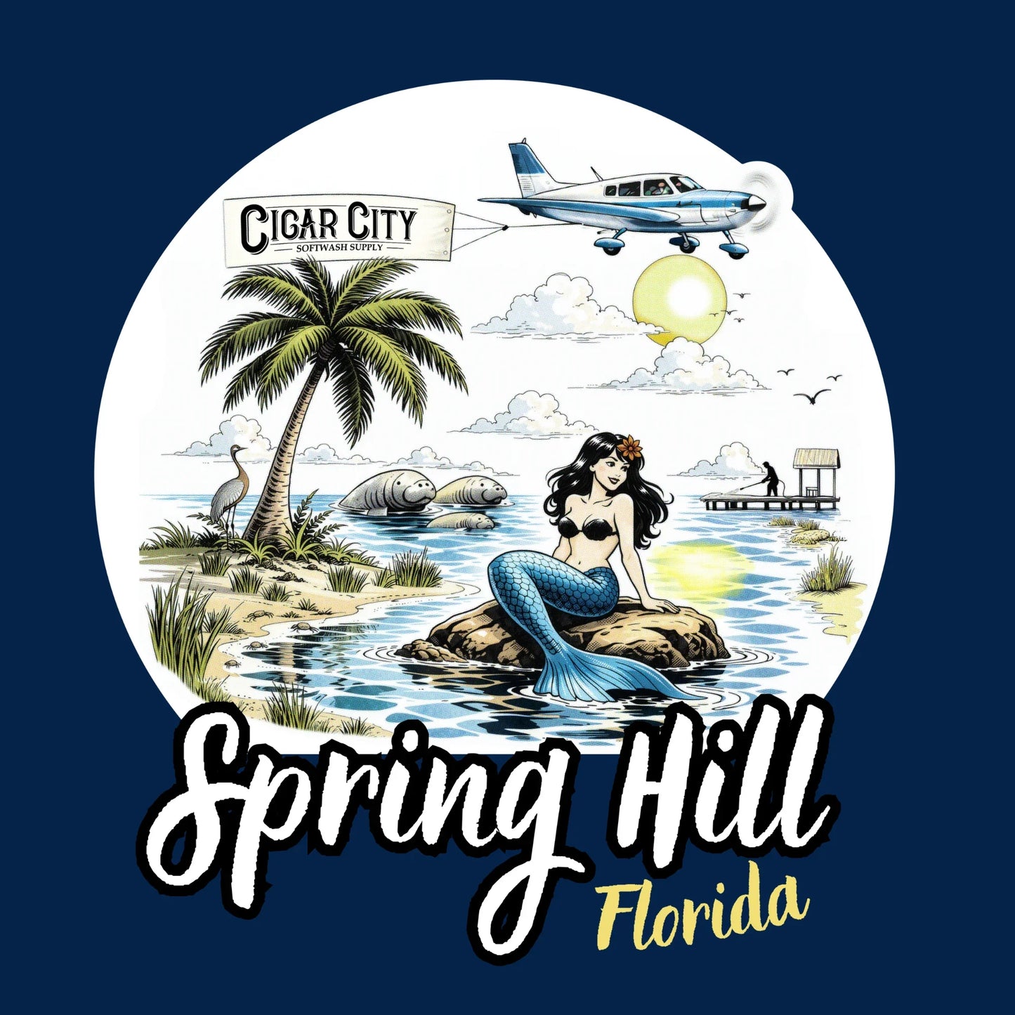 Mermaid on rock by palm tree, seaplane towing Cigar City Softwash Supply banner over Spring Hill, Florida waters