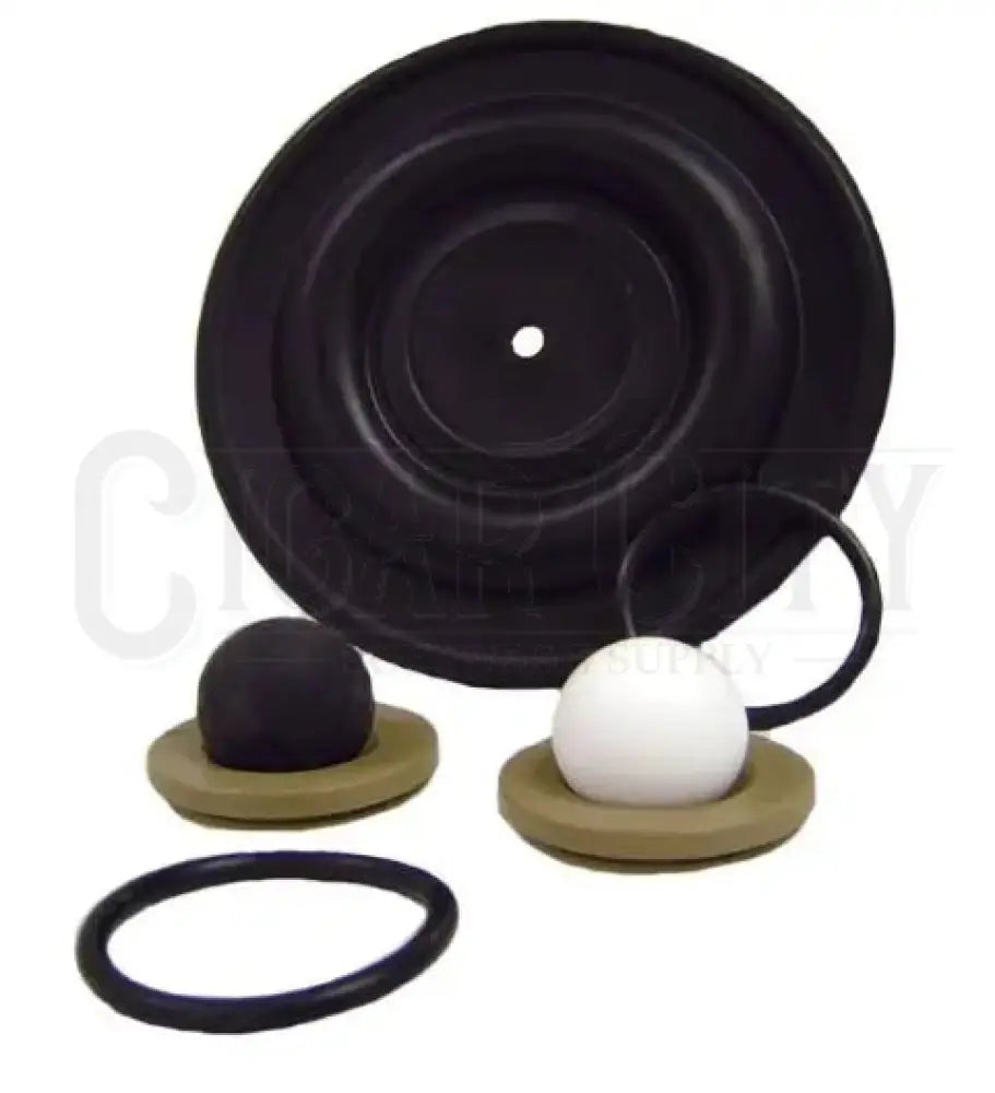 All-Flo 1/4" Wet End Repair Kit Viton AFP-AWE-025-TTPT-P-Q Pumps Cigarcity Softwash.