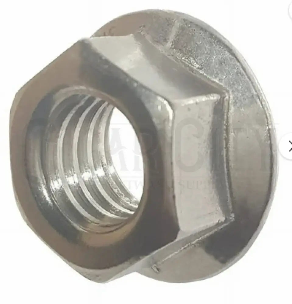 BAR NUT CCS 678339003  Cigarcity Softwash.