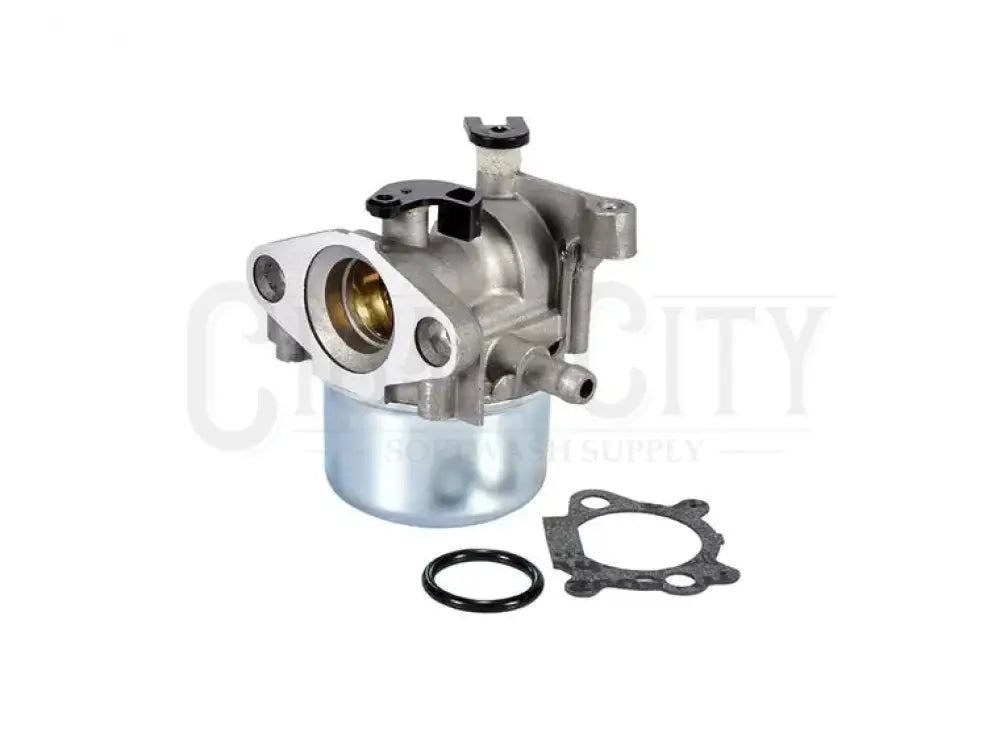 CARBURETOR FOR BRIGGS & STRATTON Cigarcity Softwash.
