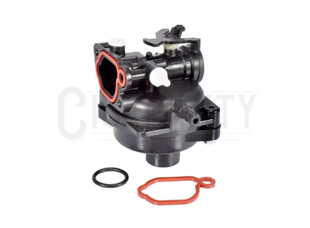 CARBURETOR FOR BRIGGS & STRATTON Cigarcity Softwash.