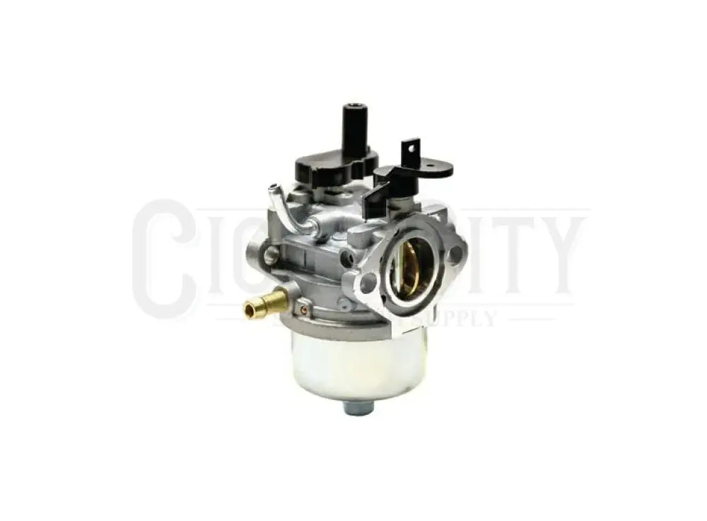 CARBURETOR FOR BRIGGS & STRATTON Cigarcity Softwash.