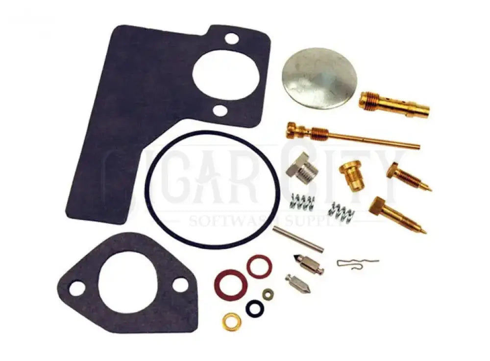 CARBURETOR KIT FOR B&S Cigarcity Softwash.