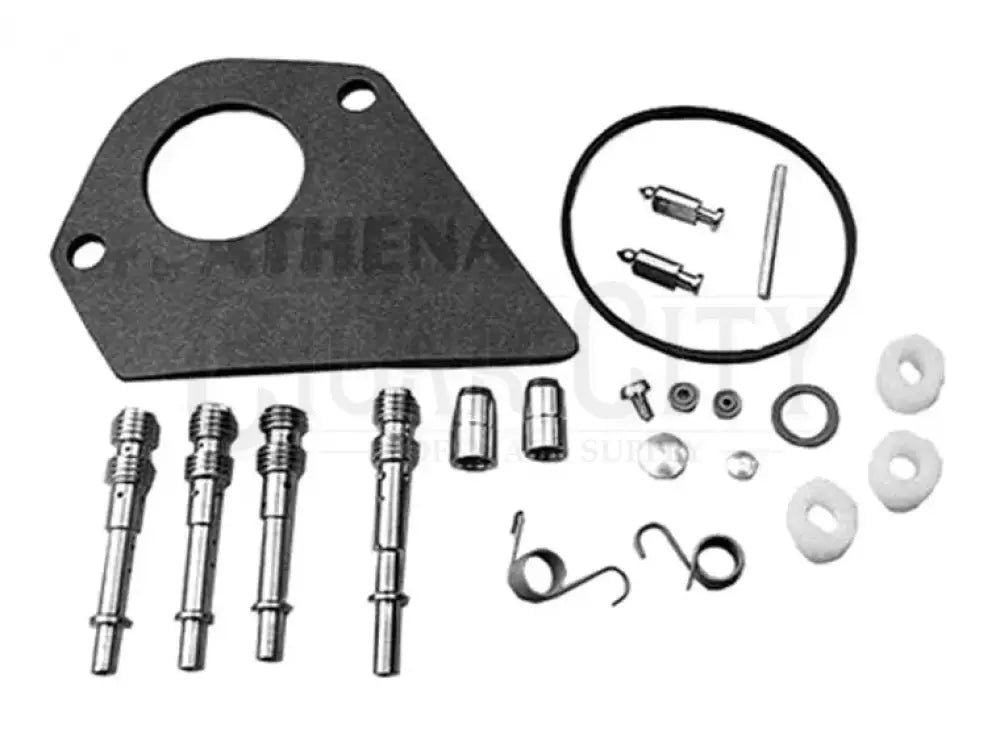 CARBURETOR OVERHAUL KIT FOR B&S Cigarcity Softwash.