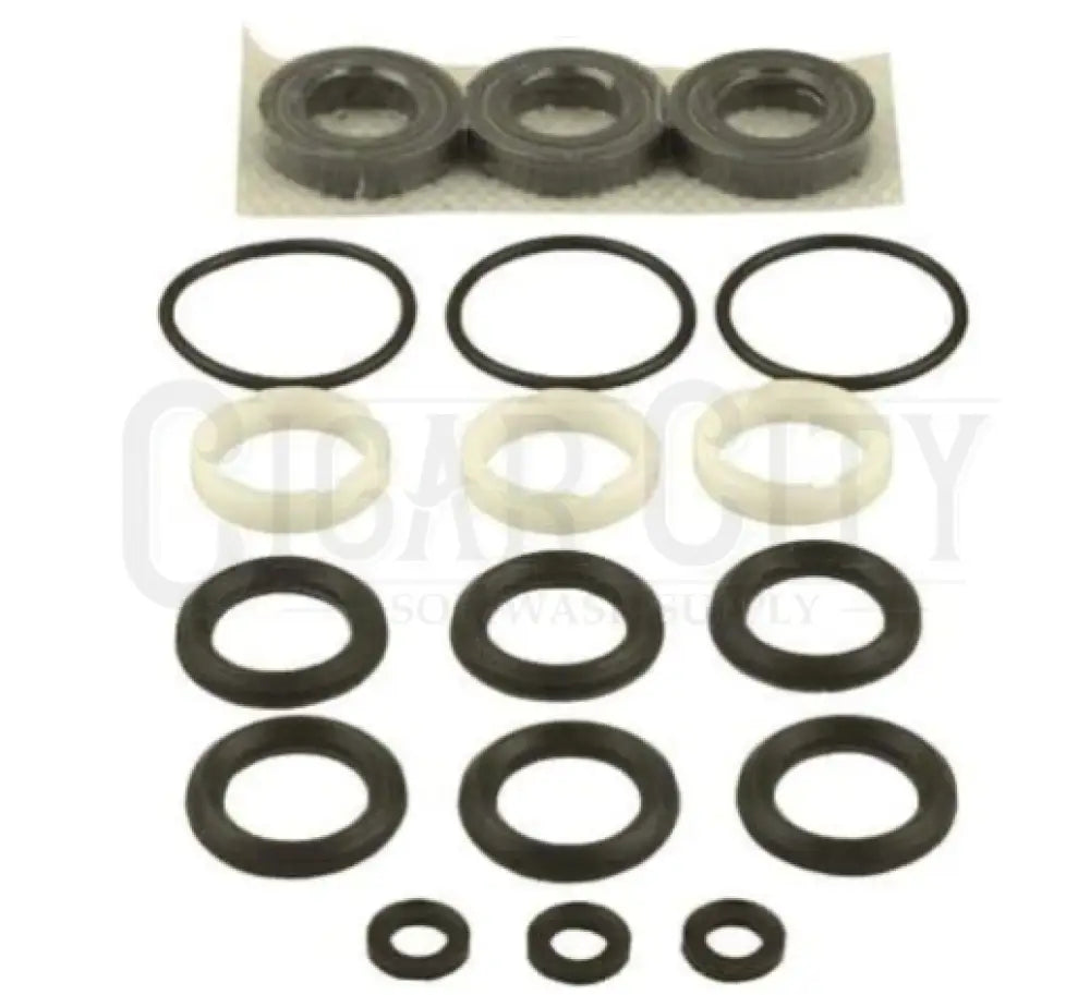 Cat Pump 33629 - Seal Kit fit 5Cp3120 Pump  Cigarcity Softwash.