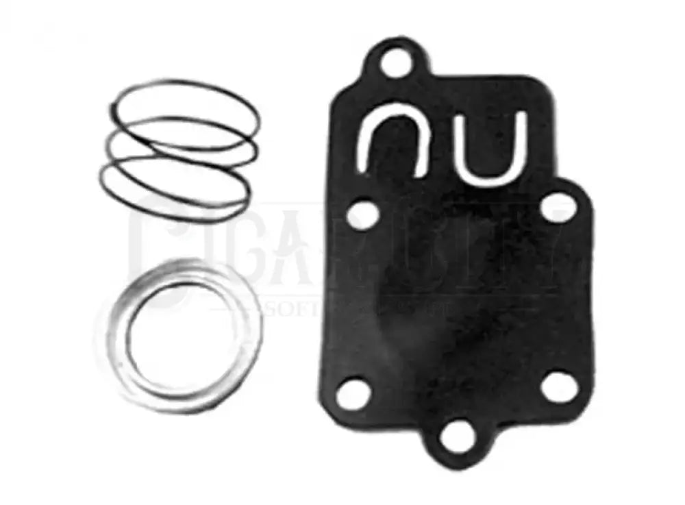 DIAPHRAGM KIT FOR B&S  Cigarcity Softwash.