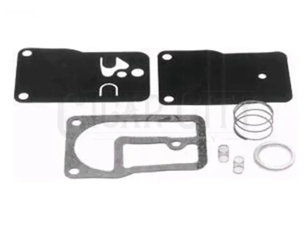 FUEL PUMP KIT FOR B&S Cigarcity Softwash.