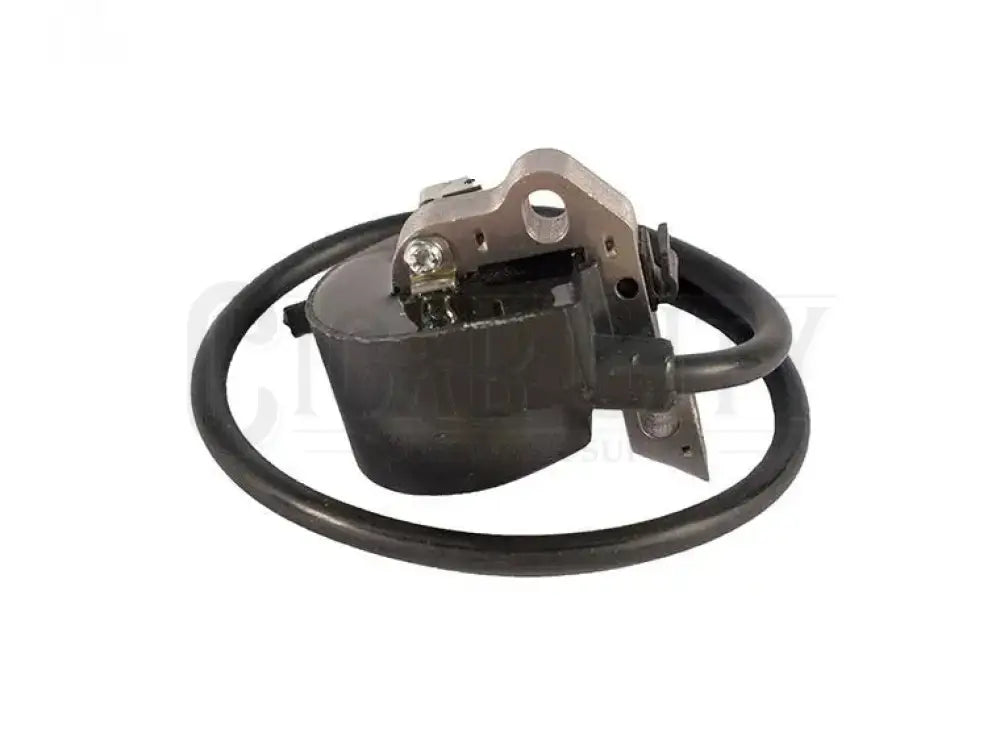 IGNITION COIL MODULE Cigarcity Softwash.