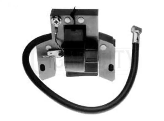 IGNITION COIL MODULE B&S  Cigarcity Softwash.