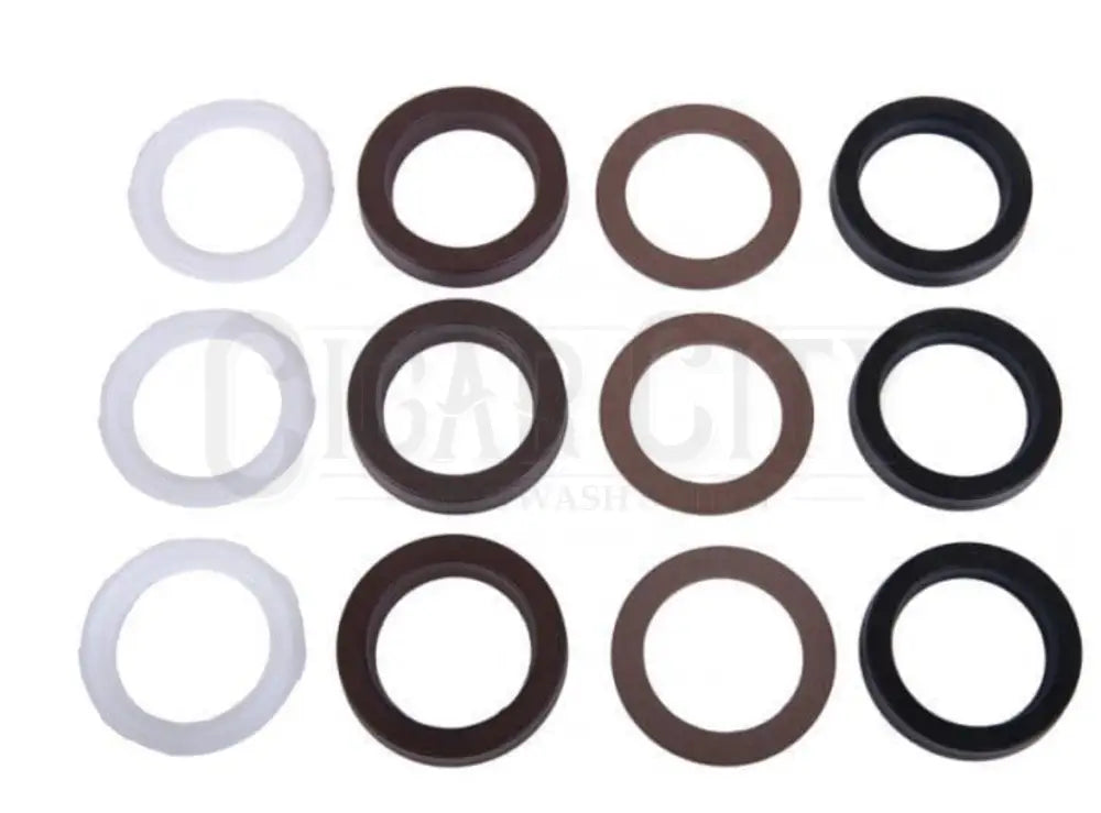 Interpump Kit 170 Cigarcity Softwash.