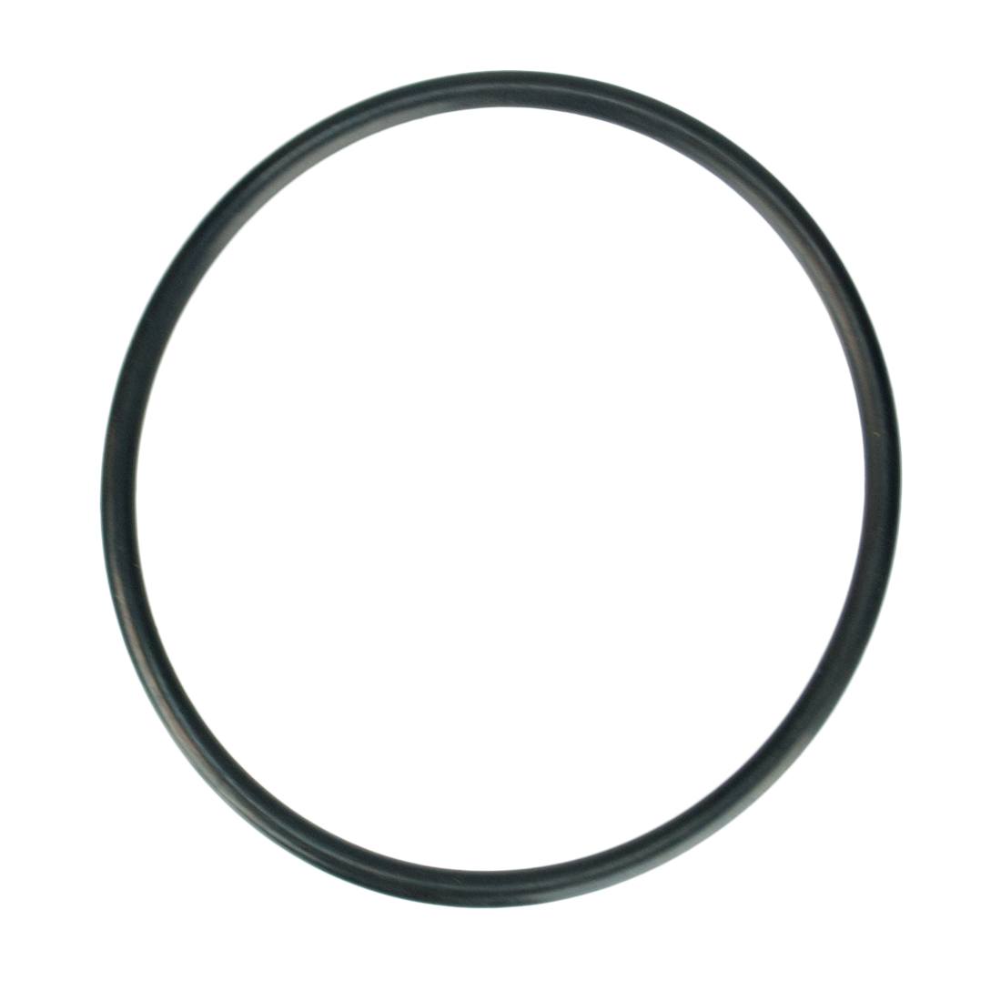 Pulex Replacement O-Ring for Hydro Cart Carbon / Sediment Housing WindowCleaner.com