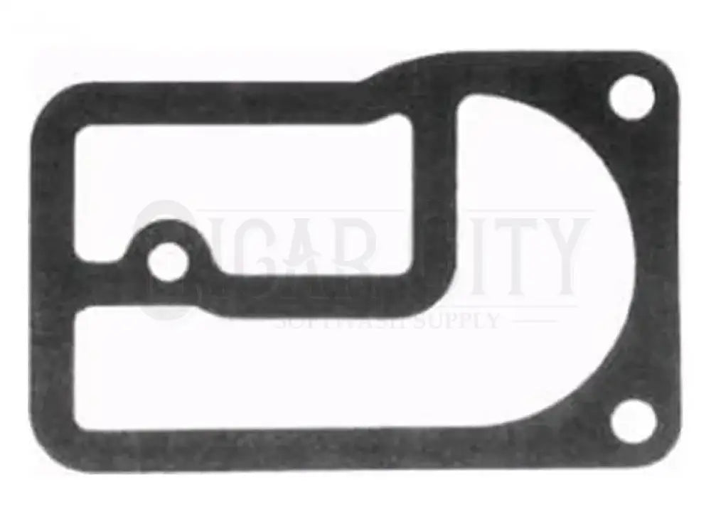 PUMP GASKET FOR B&S Cigarcity Softwash.
