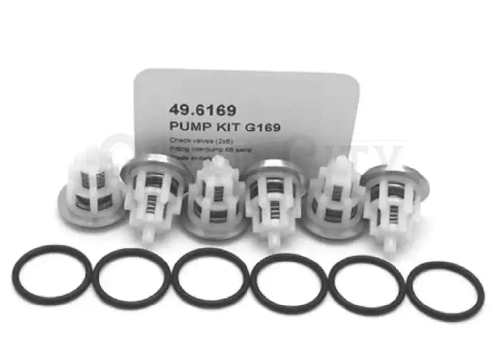 Veloci Pump Rebuild Check Valves Kit Maintenance Cigarcity Softwash.