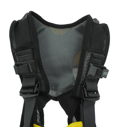 Petzl NEWTON EasyFit MEWP Kit WindowCleaner.com