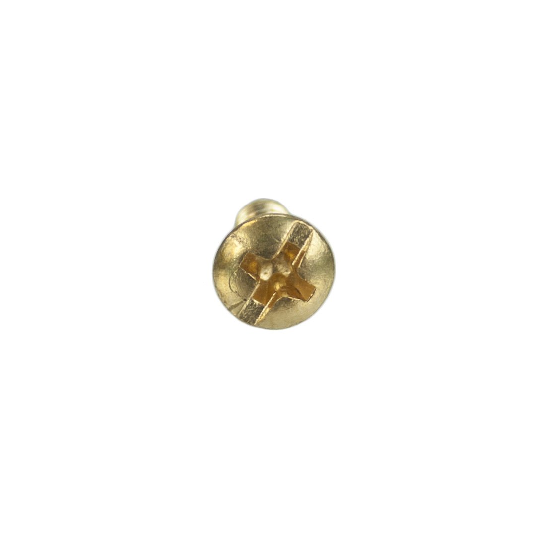 Ettore Screw for Brass Handle WindowCleaner.com