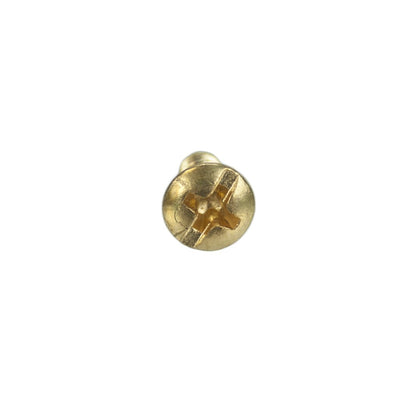 Ettore Screw for Brass Handle WindowCleaner.com