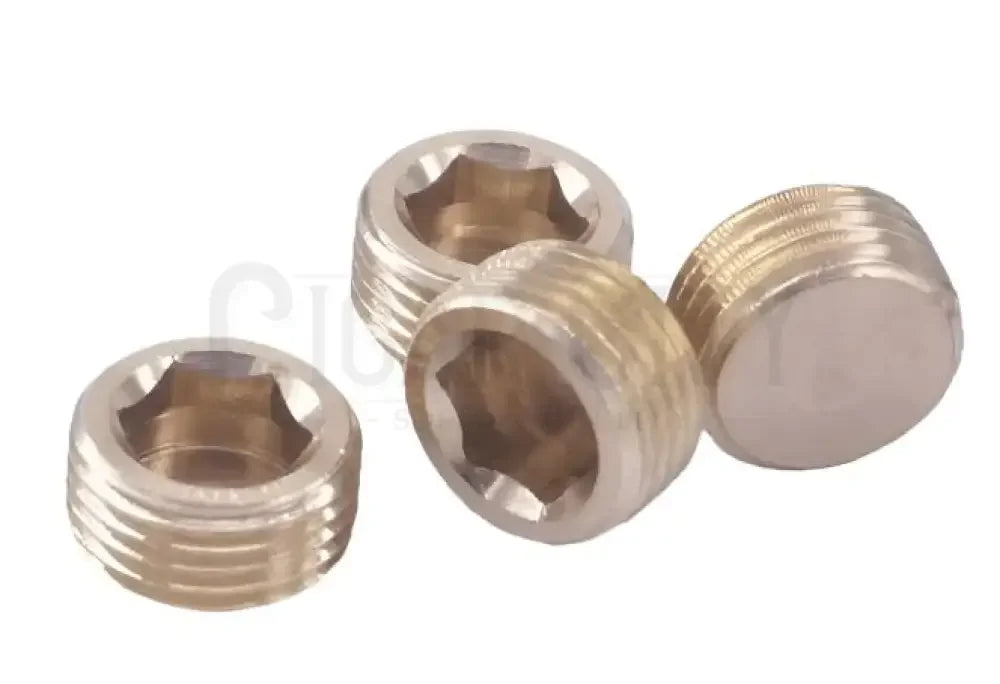 1/2" Allen Head Plug Brass  Cigarcity Softwash.
