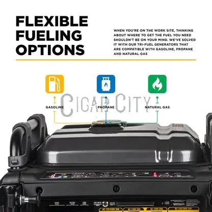 10,500 Watt Digital Inverter Generator Cigarcity Softwash