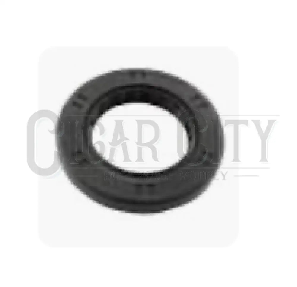 (2 KITS/PUMP) 33060 VALVE KIT 5CP3120  Cigarcity Softwash.