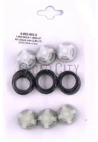 9.802-603.0 Kit Valve SprayMart