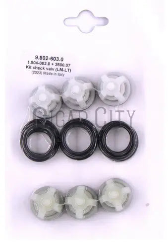 9.802-603.0 Kit Valve SprayMart