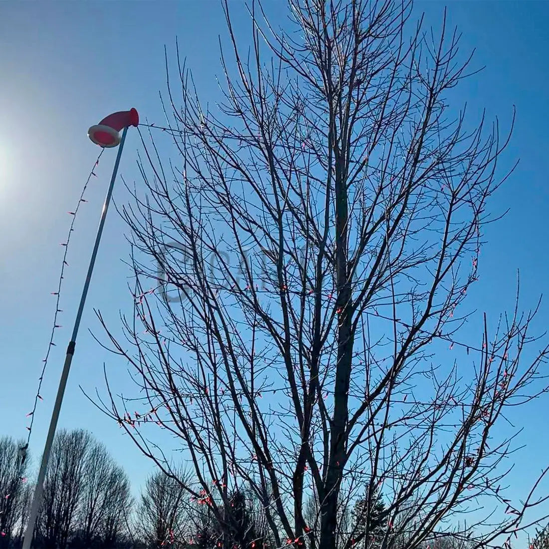 ELF Easy Light Feeder WindowCleaner.com