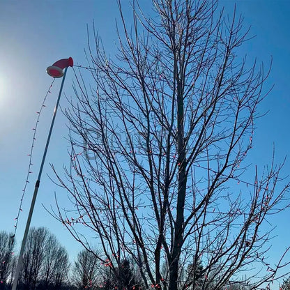 ELF Easy Light Feeder WindowCleaner.com