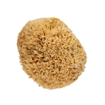 NICE Natural Sea Wool Sponge WindowCleaner.com