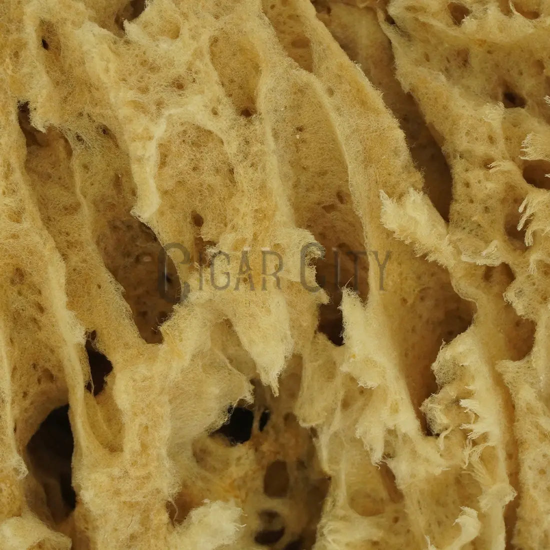 NICE Natural Sea Wool Sponge WindowCleaner.com