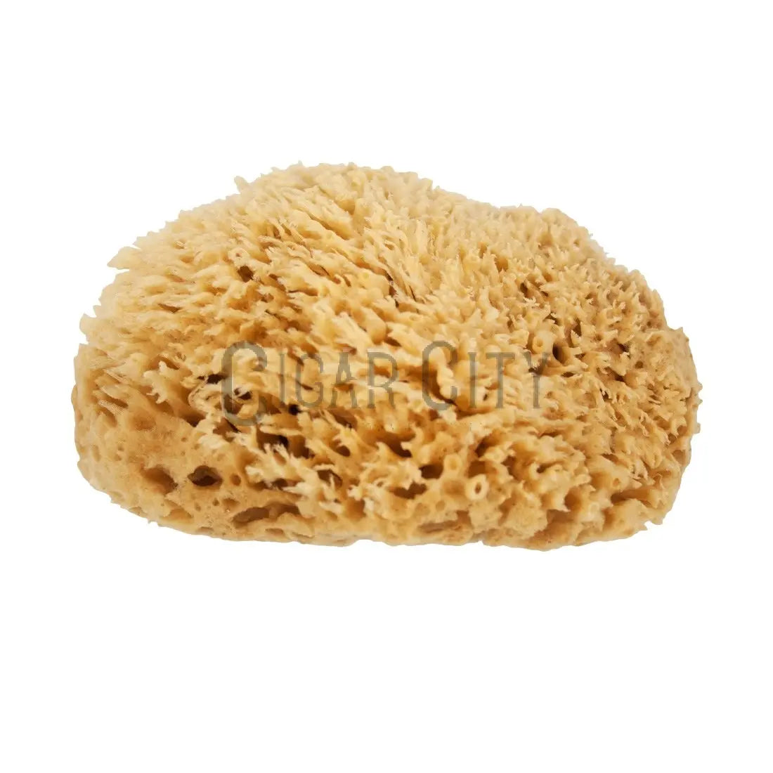 NICE Natural Sea Wool Sponge WindowCleaner.com