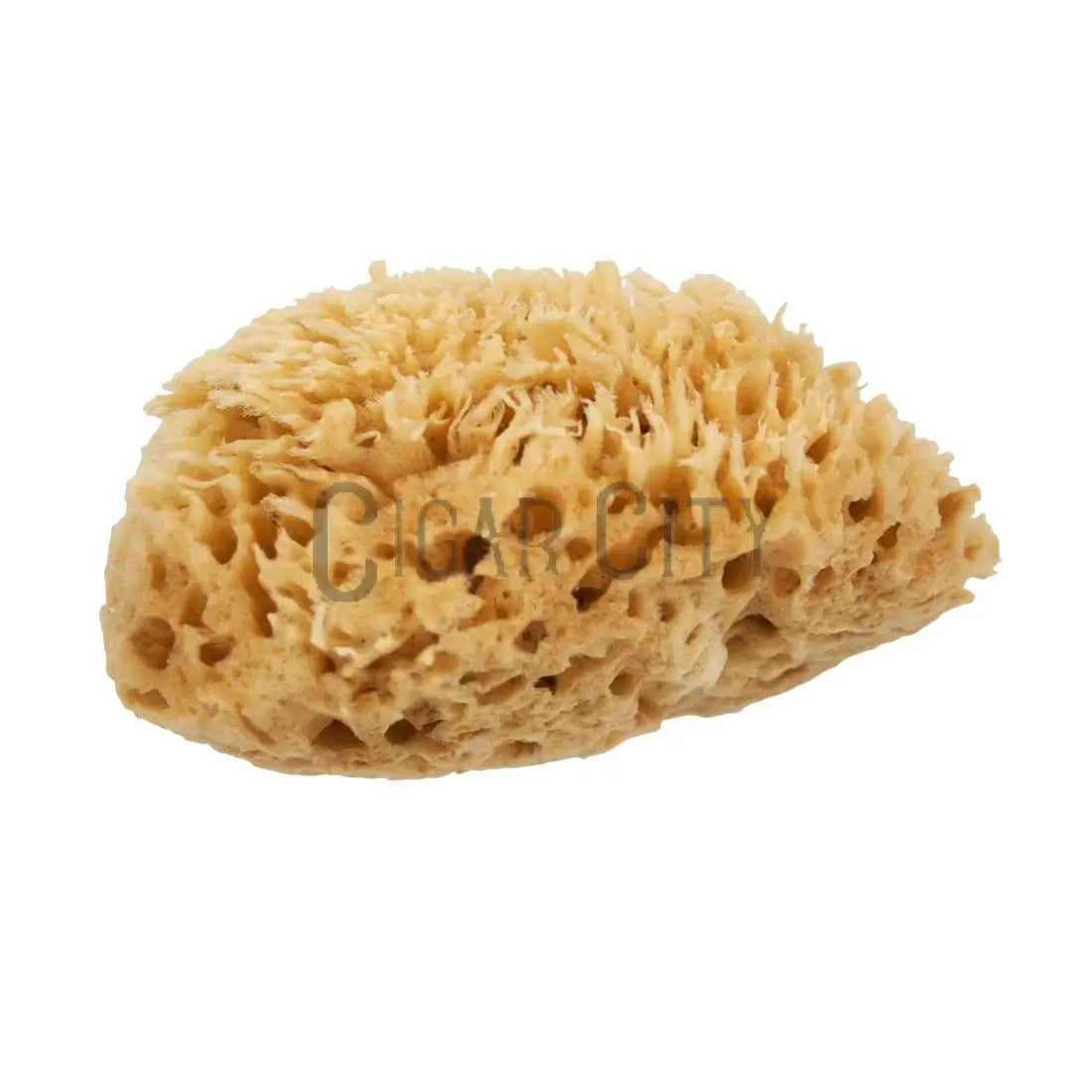 NICE Natural Sea Wool Sponge WindowCleaner.com