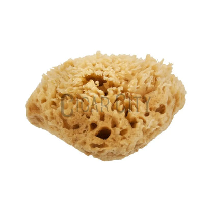 NICE Natural Sea Wool Sponge WindowCleaner.com