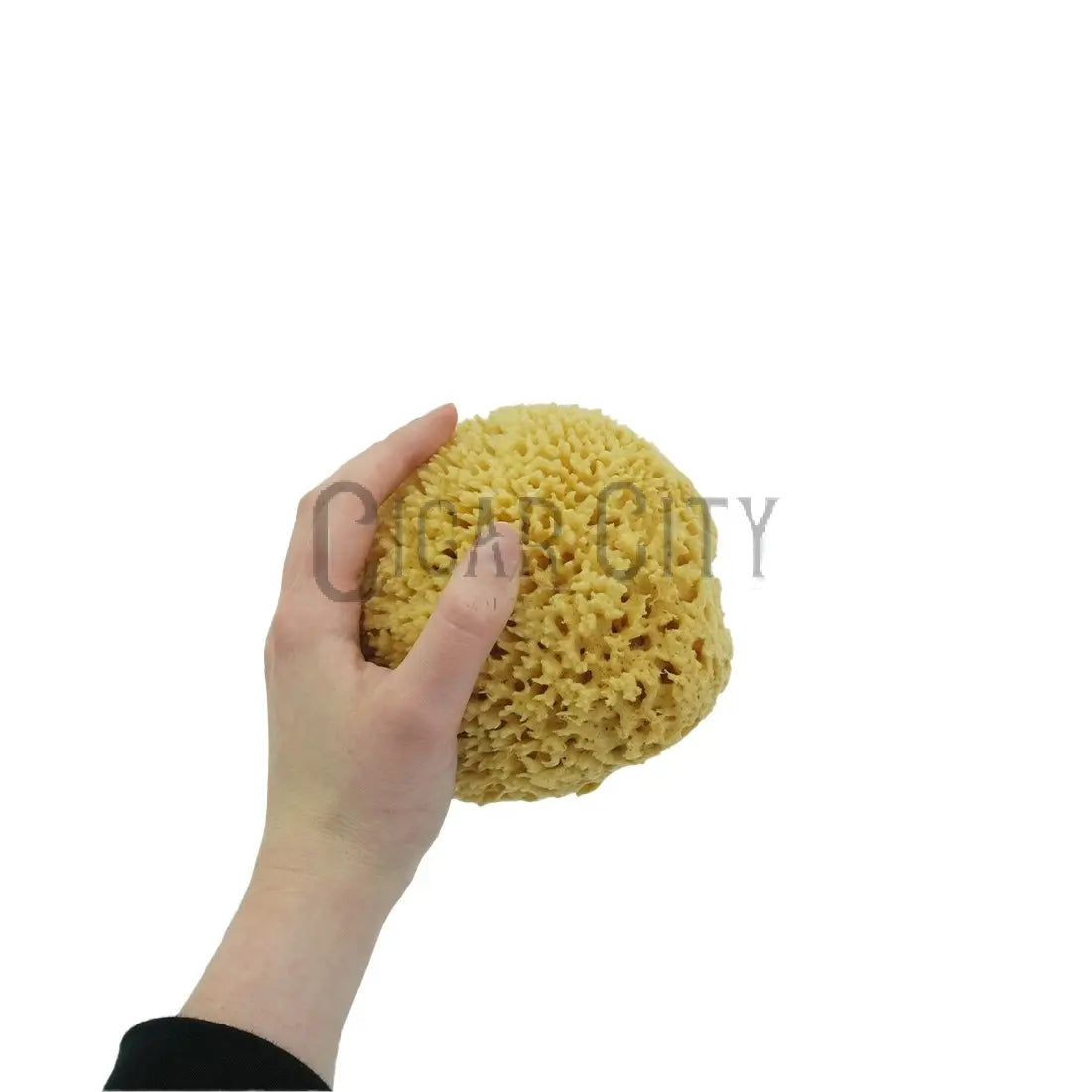 NICE Natural Sea Wool Sponge WindowCleaner.com