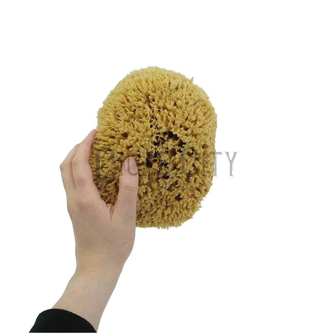 NICE Natural Sea Wool Sponge WindowCleaner.com
