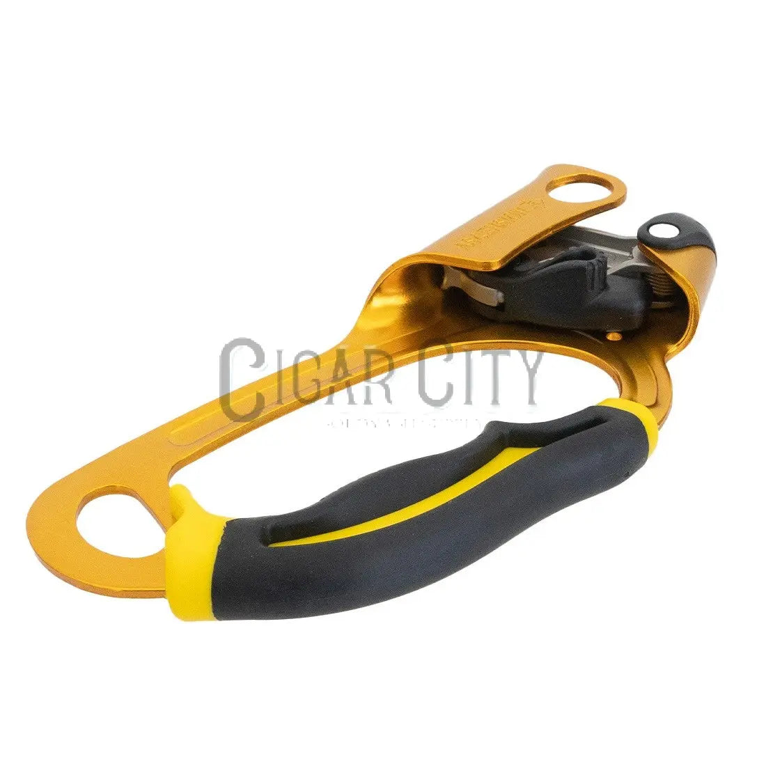 Petzl Ascender WindowCleaner.com