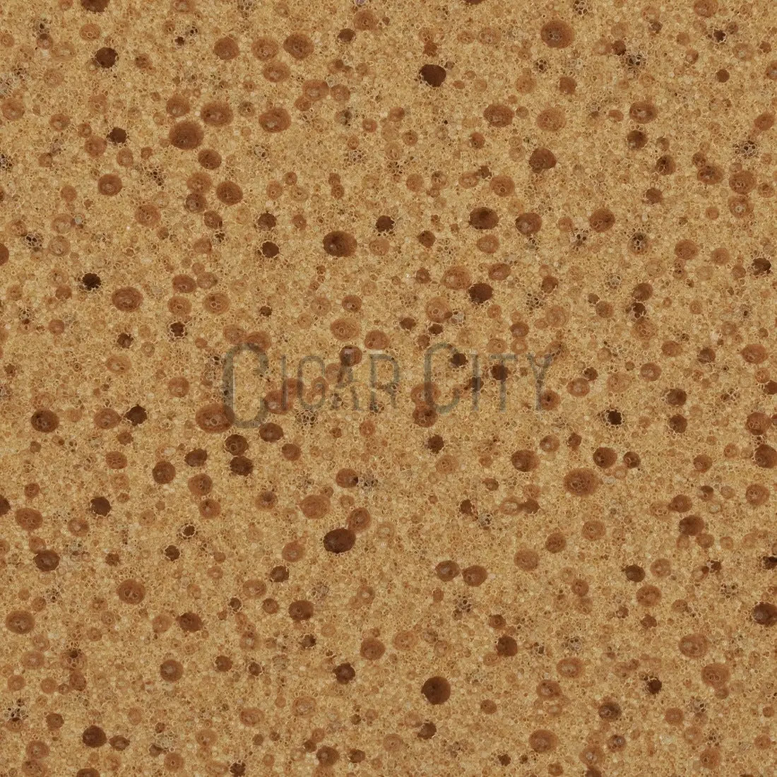 Pulex Sponge for Clamp WindowCleaner.com