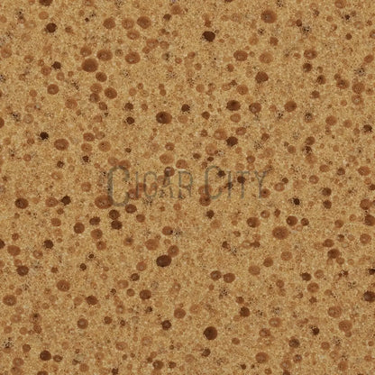 Pulex Sponge for Clamp WindowCleaner.com