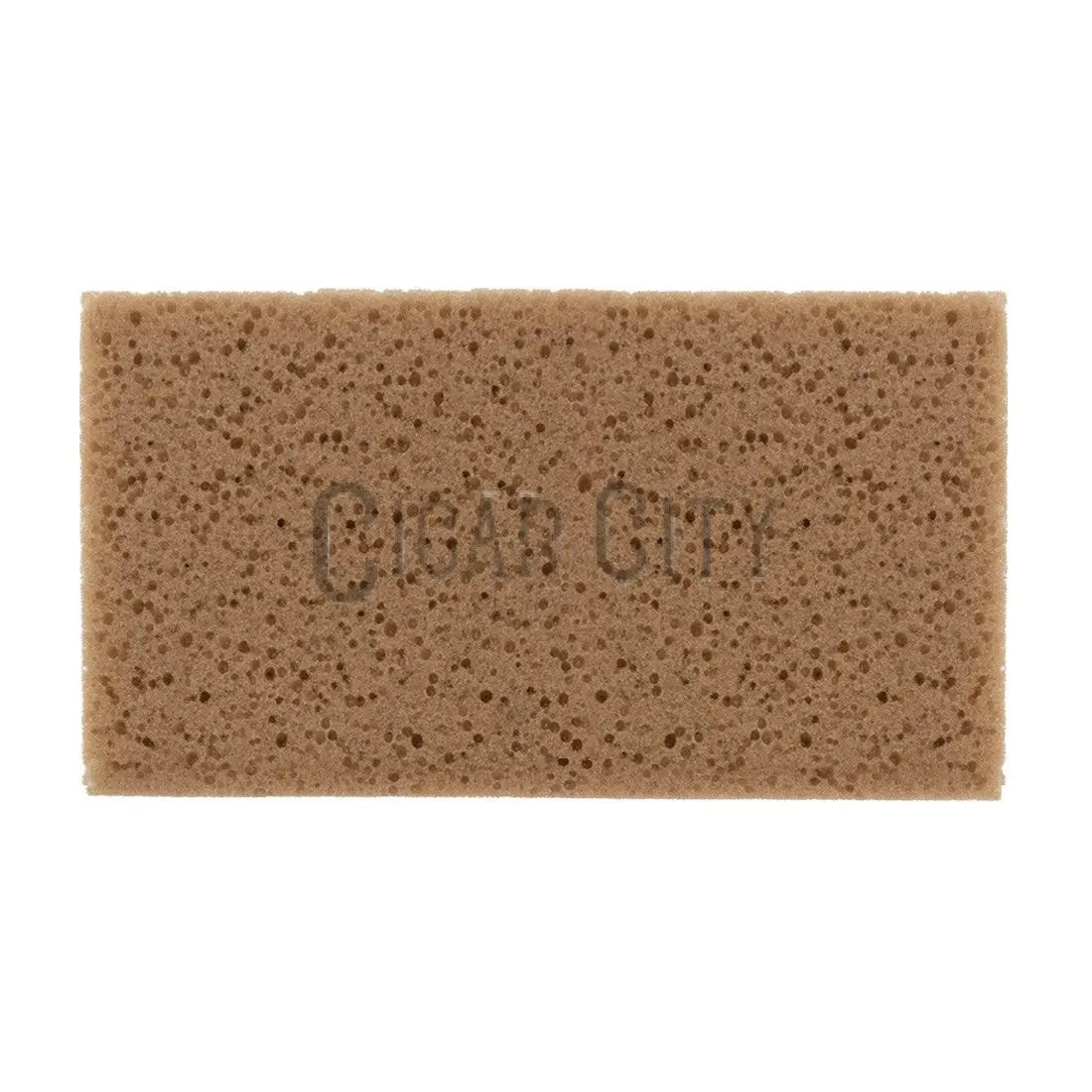 Pulex Sponge for Clamp WindowCleaner.com