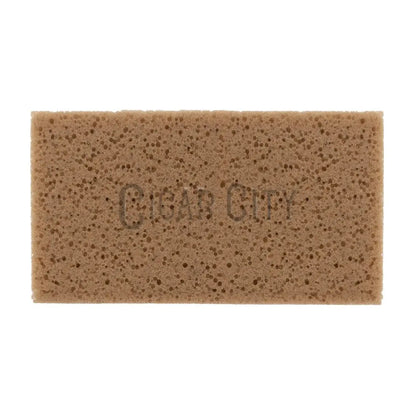 Pulex Sponge for Clamp WindowCleaner.com