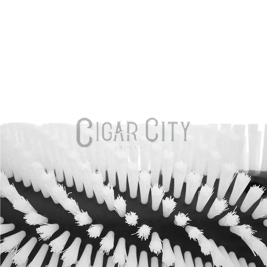 QLEEN Classic Replacement Brush WindowCleaner.com