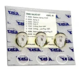 TGBA genuine softwash valve kit with O-rings and seals for pressure washer equipment