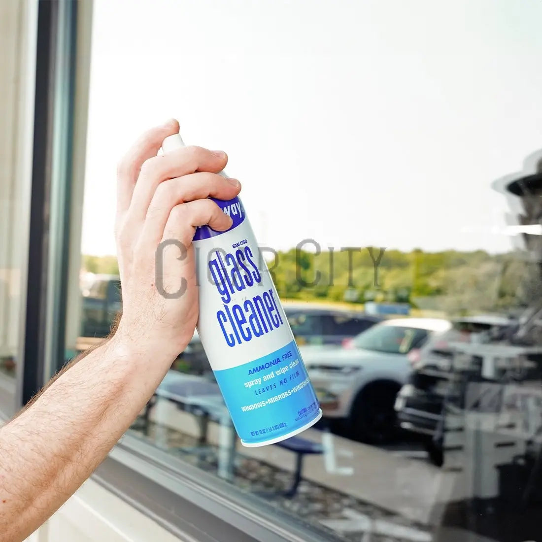 Sprayway Glass Cleaner WindowCleaner.com