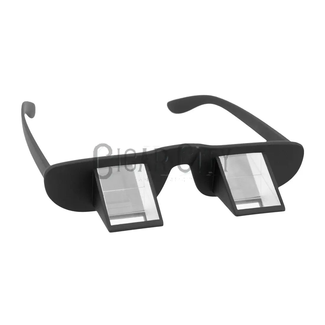 World Enterprises Belay Glasses WindowCleaner.com