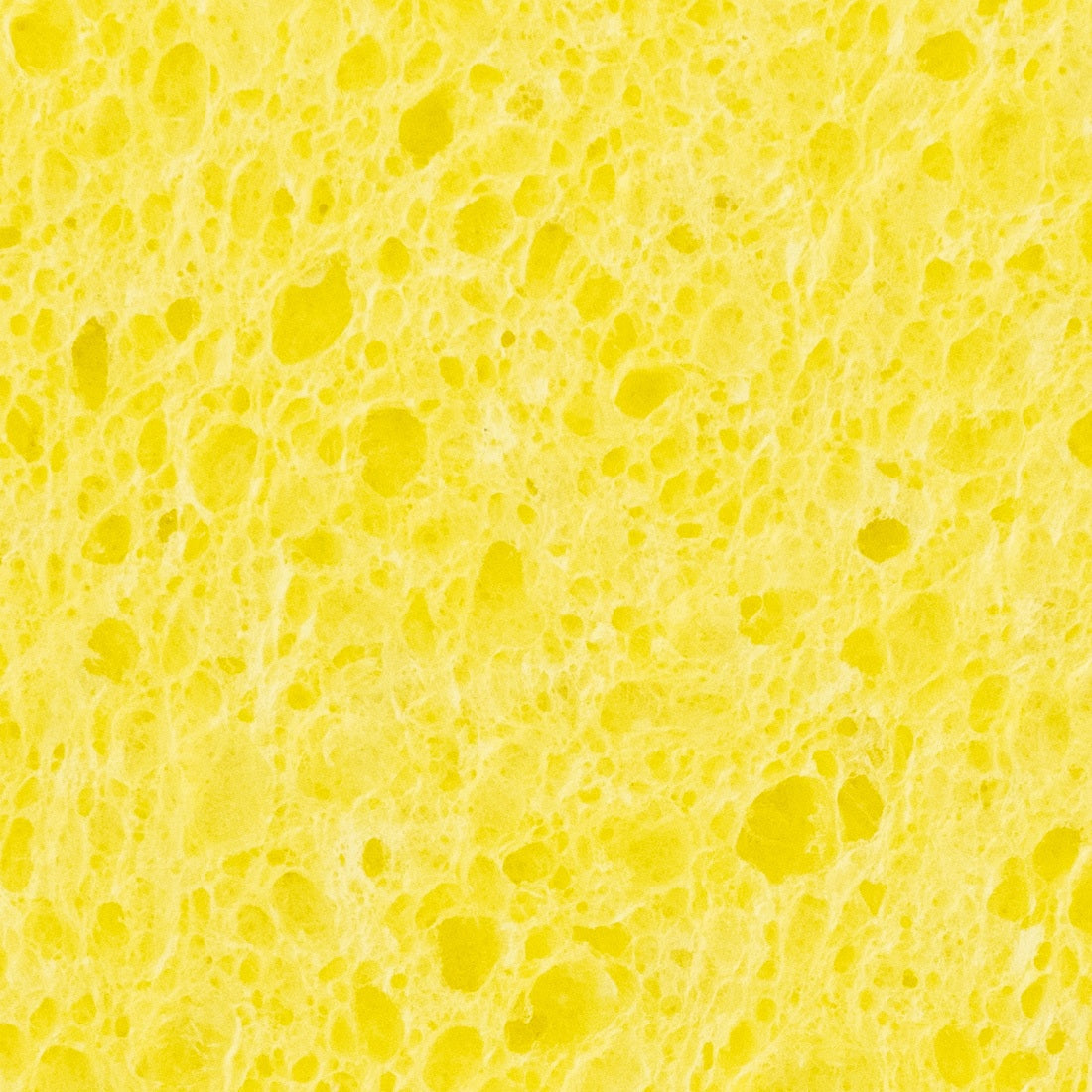World Enterprises Cellulose Sponge