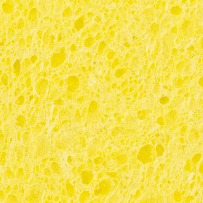 World Enterprises Cellulose Sponge