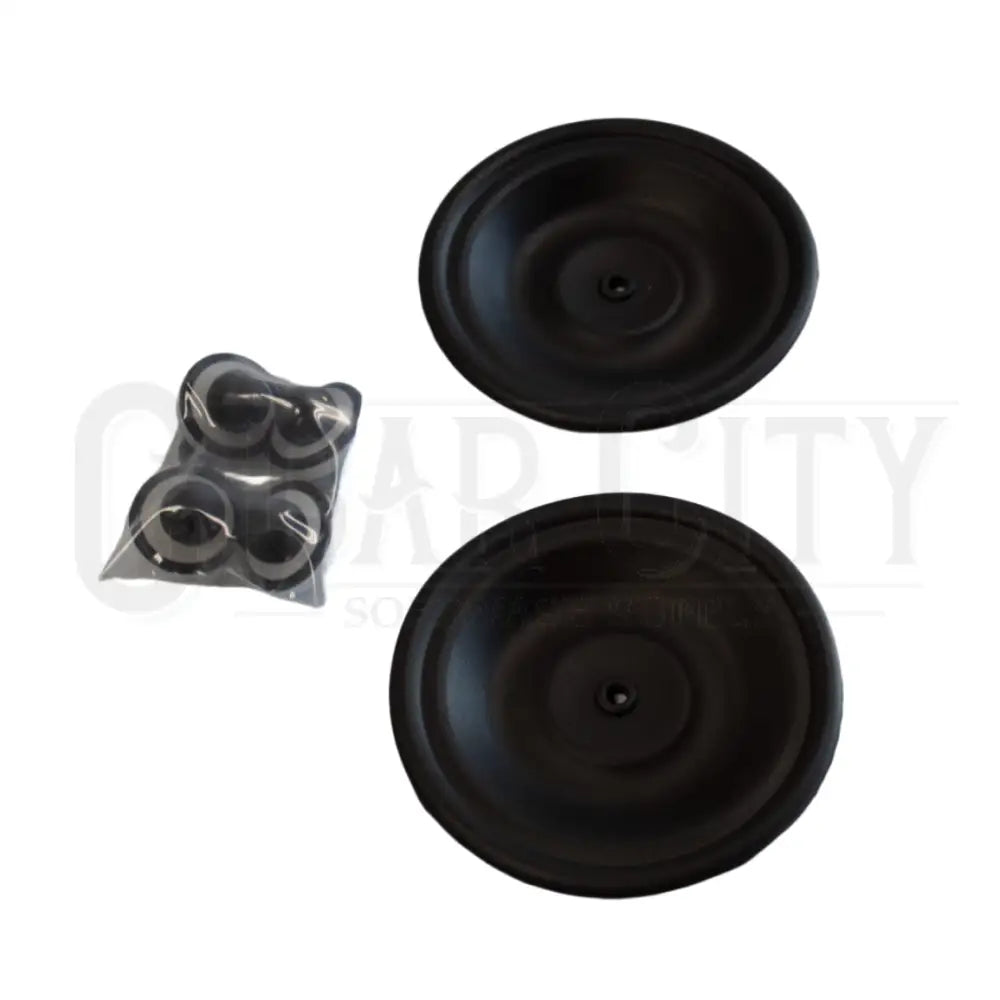 All-Flo 1/2" Wet End Repair Kit Viton AWE-050-VVKV-P Pumps Cigarcity Softwash.