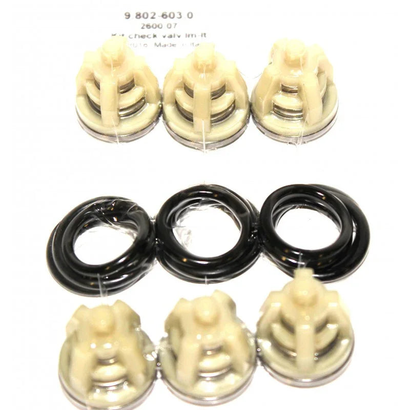 Softwash check valve kit with beige valves and black O-rings for pressure washer systems