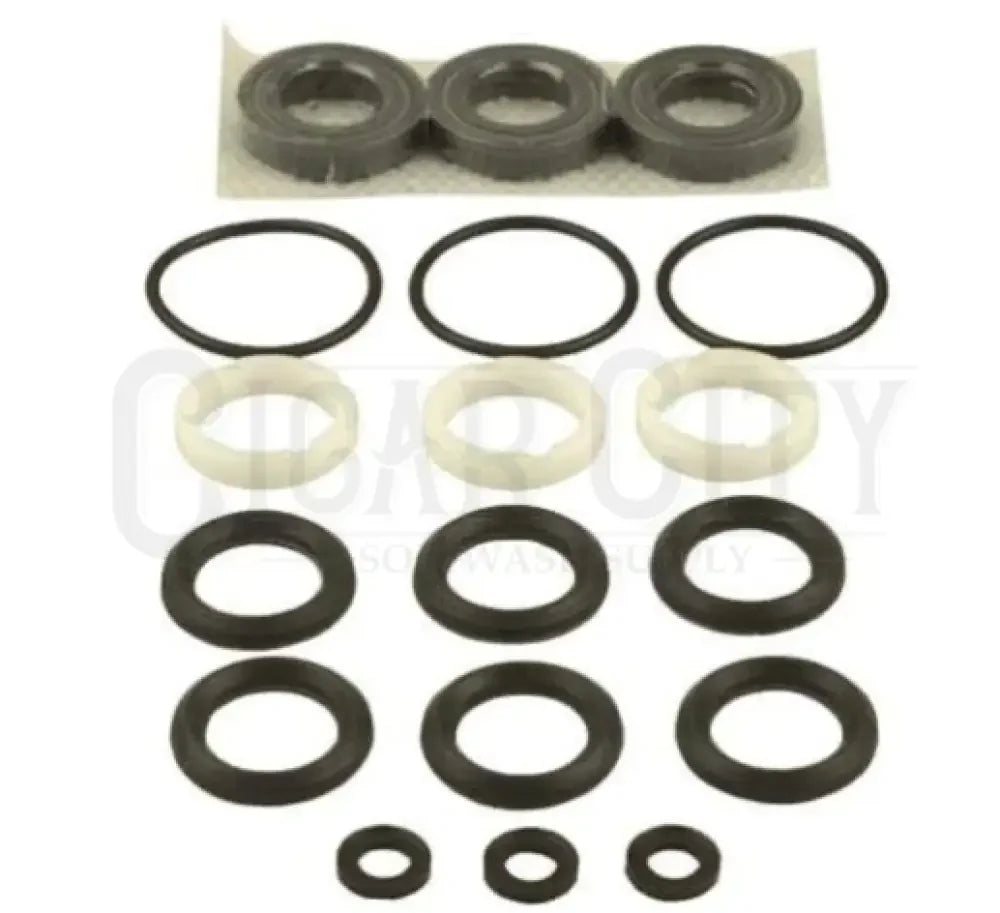 Cat Pump 33629 - Seal Kit fit 5Cp3120 Pump  Cigarcity Softwash.