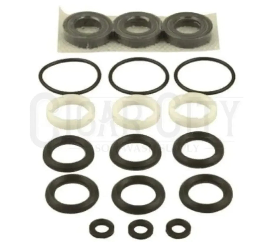 Cat Pump 33629 - Seal Kit fit 5Cp3120 Pump  Cigarcity Softwash.